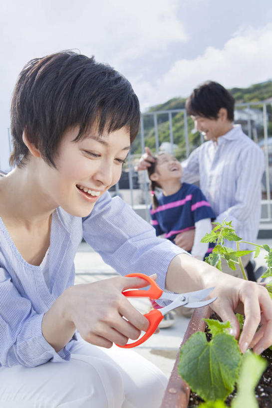 东方人,三个人,家庭,母亲,父亲,女儿,站,笑,微笑,露齿笑,竖图,室外,白天,侧面,纯洁,叶子,亚洲,剪刀,绿叶,拿,拿着,注视,黄种人,观察,看,站着,温暖,温馨,父女,母女,三口之家,一家人,日本人,嫩叶,父爱,可爱,母爱,童年,童趣,观看,清理,和睦,察看,关注,童真,烂漫,无邪,天真,亚洲人,叶,叶片,站立,半身,彩图,融洽,爸爸,妈妈