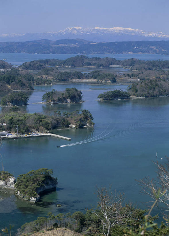 无人,竖图,俯视,航拍,室外,白天,旅游,度假,海浪,海洋,美景,山,植物,日本,亚洲,景观,浪花,山峰,山峦,娱乐,树,树木,绿色,自然,海水,享受,休闲,景色,放松,生长,成长,鸟瞰,自然风光,海景,东亚,本州,本州岛,日本国,宫城,宫城县,东北地方,大海,风浪,海,海水的波动,近岸浪,涌浪,彩图,高角度拍摄