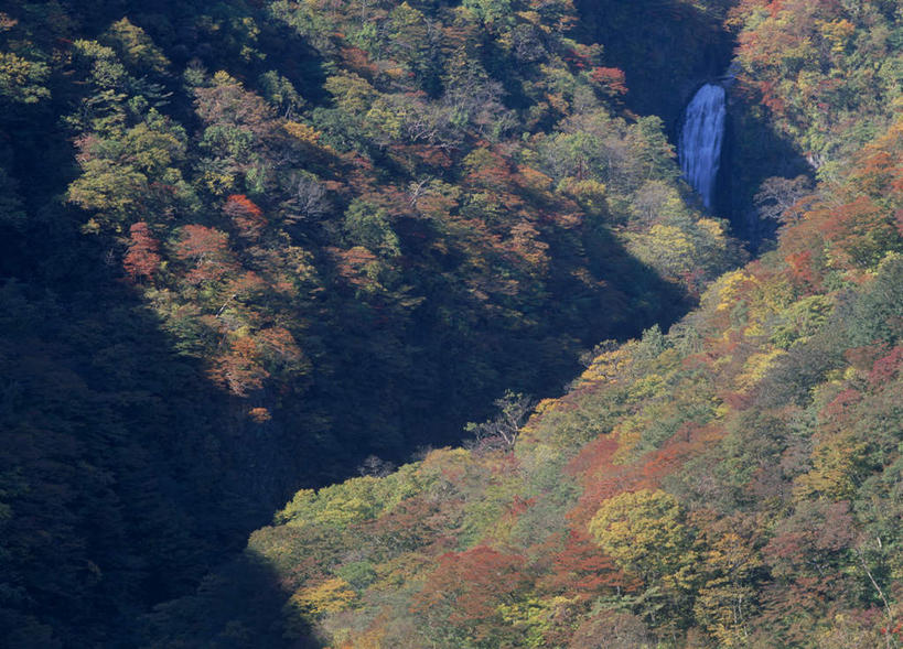 无人,横图,俯视,航拍,室外,白天,旅游,度假,美景,瀑布,秋季,森林,树林,水,植物,日本,亚洲,飞溅,溅,液体,景观,娱乐,树,树木,绿色,自然,享受,休闲,景色,放松,生长,成长,鸟瞰,喷洒,自然风光,东亚,本州,本州岛,日本国,宫城,宫城县,东北地方,跌水,秋,秋天,彩图,高角度拍摄