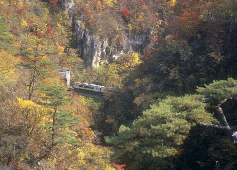 无人,横图,俯视,室外,白天,旅游,度假,美景,秋季,森林,树林,植物,火车,日本,亚洲,景观,娱乐,车,树,树木,绿色,自然,交通工具,享受,休闲,景色,放松,生长,成长,自然风光,东亚,本州,本州岛,日本国,宫城,宫城县,东北地方,秋,秋天,彩图,高角度拍摄