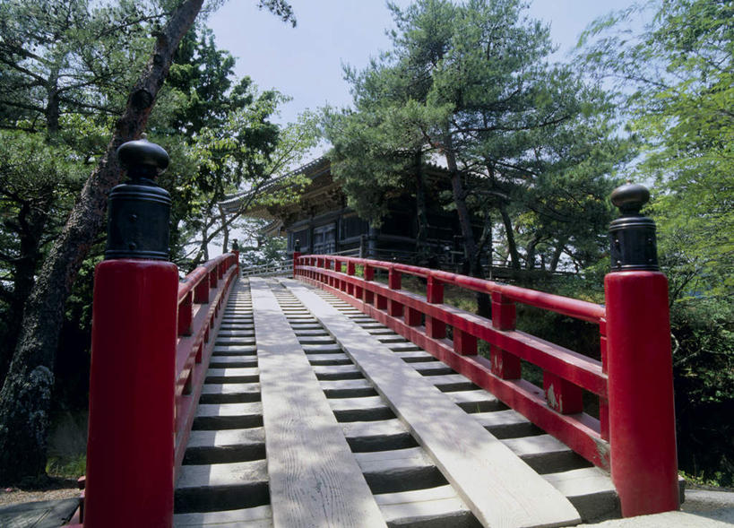 无人,栏杆,横图,室外,白天,仰视,旅游,度假,植物,标志建筑,地标,建筑,日本,亚洲,木板,云,云朵,围栏,桥,木桥,云彩,娱乐,建设,护栏,栈桥,树,树木,蓝色,绿色,白云,蓝天,天空,自然,天,享受,休闲,旅游胜地,放松,生长,成长,人行桥,木板桥,东亚,本州,本州岛,日本国,宫城,宫城县,东北地方,松岛,彩图,低角度拍摄