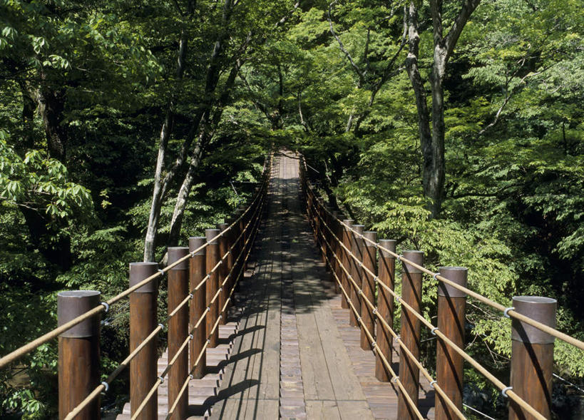 无人,栏杆,横图,室外,白天,正面,旅游,度假,美景,森林,树林,植物,日本,亚洲,木板,景观,围栏,桥,木桥,娱乐,护栏,栈桥,树,树木,绿色,自然,享受,休闲,景色,放松,生长,成长,人行桥,木板桥,自然风光,东亚,本州,茨城,茨城县,关东地方,本州岛,日本国,县厅,彩图,水户,水户市,水戸,水戸市