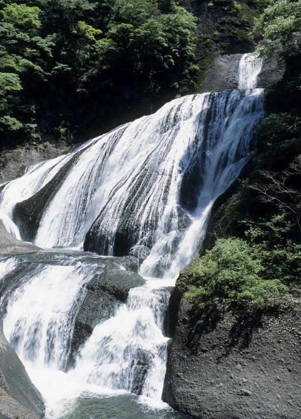 无人,竖图,室外,白天,仰视,旅游,度假,石头,美景,瀑布,水,植物,日本,亚洲,飞溅,溅,石子,液体,景观,水滴,娱乐,树,树木,绿色,自然,享受,休闲,景色,放松,生长,成长,喷洒,自然风光,东亚,本州,茨城,茨城县,关东地方,本州岛,日本国,县厅,跌水,石块,岩石,彩图,低角度拍摄,水户,水户市,水戸,水戸市