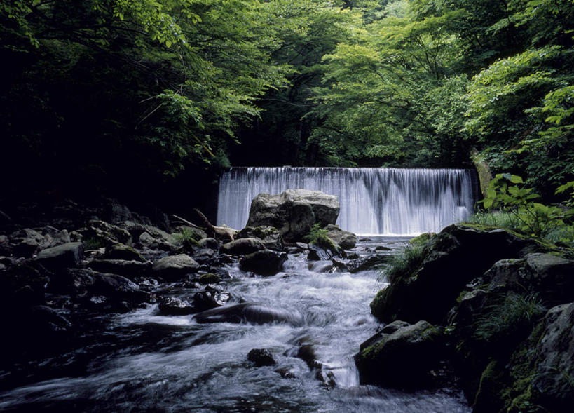 无人,横图,室外,白天,正面,旅游,度假,河流,石头,美景,瀑布,森林,树林,水,植物,日本,亚洲,飞溅,溅,石子,液体,河水,景观,水流,娱乐,树,树木,绿色,小溪,自然,溪水,享受,休闲,景色,放松,生长,成长,喷洒,自然风光,东亚,本州,茨城,茨城县,关东地方,本州岛,日本国,县厅,跌水,石块,岩石,彩图,水户,水户市,水戸,水戸市