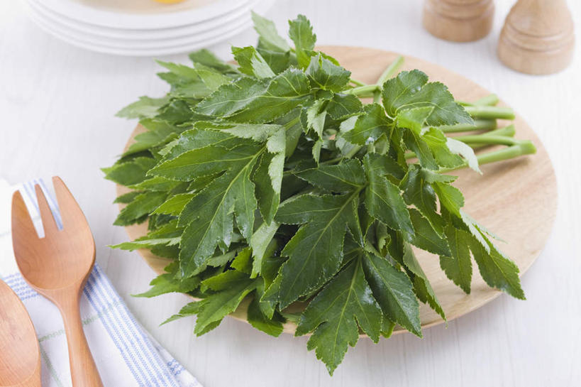 无人,横图,俯视,室内,特写,白天,白色背景,烹饪,餐桌,桌子,餐具,纺织品,叉子,碟子,盘,叉,勺子,日本料理,料理,食品,菜肴,美食,桌布,食物,盘子,调羹,碟,汤匙,日式料理,日式,摄影,佳肴,有机食品,绿色食品,影棚,餐台,明日叶,明日草,八丈草,进餐用具,烹调用具,彩图,高角度拍摄,影棚拍摄,拍摄