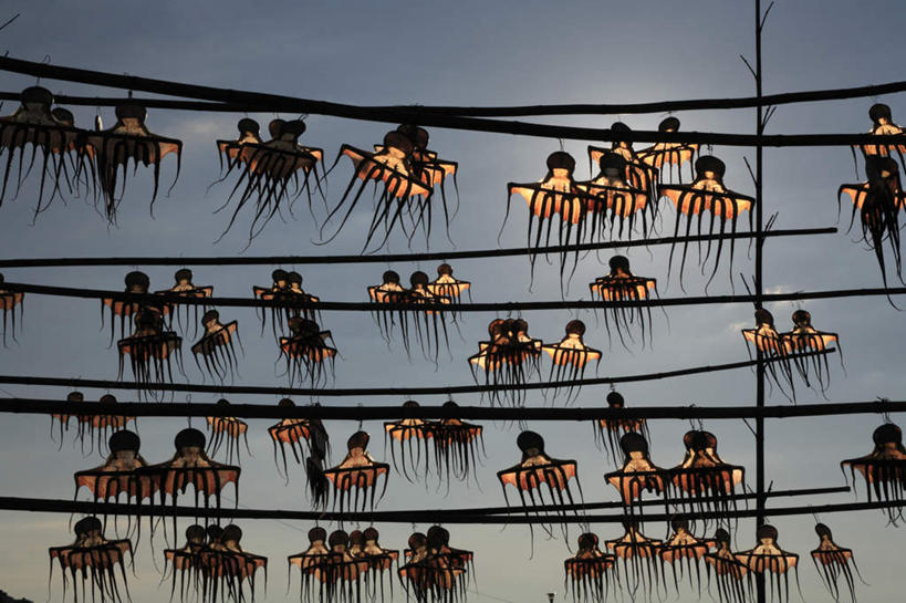 无人,横图,室外,白天,仰视,旅游,度假,章鱼,日本,亚洲,许多,晾晒,悬挂,阴影,光线,棍子,影子,支架,云,云朵,云彩,娱乐,竹竿,海洋生物,蓝色,白云,蓝天,天空,阳光,天,享受,休闲,放松,石吸,死牛,望潮,坐蛸,水生动物,水生物,东亚,海底动物,晾干,日本国,九州本岛,九州,九州岛,九州地方,熊本,熊本县,石居,八爪鱼,彩图,低角度拍摄