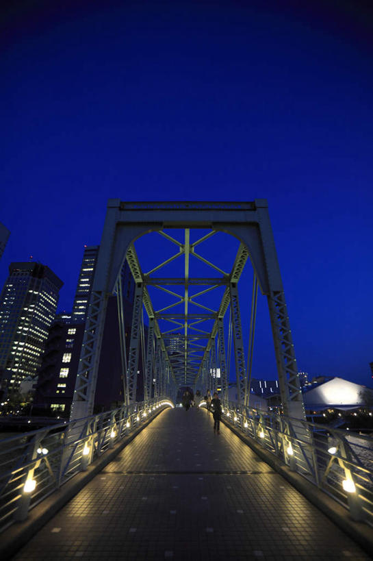 无人,高楼大厦,竖图,室外,夜晚,仰视,旅游,度假,美景,城市风光,城市,大桥,大厦,道路,建筑,立交桥,路,路灯,摩天大楼,桥梁,公路,东京,日本,亚洲,阴影,光线,影子,景观,高架,斜拉桥,桥,灯光,交通,品川区,娱乐,灯,蓝色,蓝天,天空,阳光,天,享受,休闲,景色,放松,照明设备,东亚,本州,关东地方,本州岛,日本国,东京都,马路,彩图,低角度拍摄,大楼,高层建筑,高楼,摩天楼