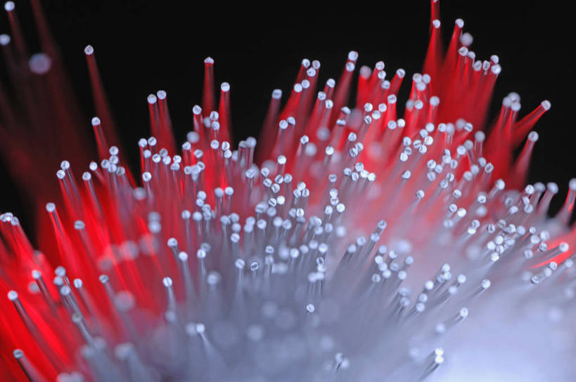 无人,横图,室内,特写,白天,正面,黑色背景,透明,光纤,红色,蓝色,摄影,影棚,光导纤维,理智,沉静,冷色,高深,冷淡,传输介质,全反射,传导工具,彩图,影棚拍摄,拍摄