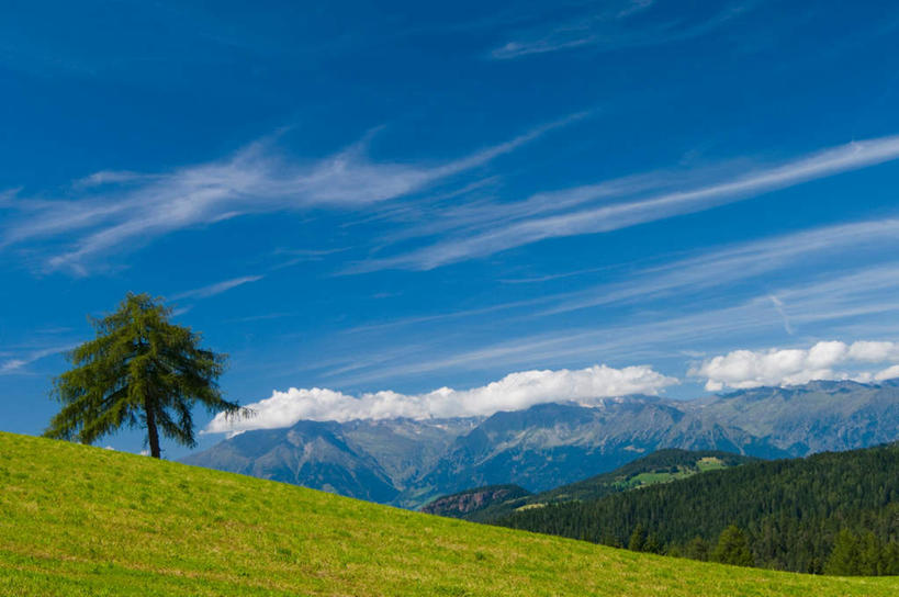 无人,横图,室外,白天,正面,旅游,度假,草地,草坪,石头,美景,山,山脉,植物,意大利,欧洲,阴影,光线,石子,影子,景观,山峰,云,云朵,山峦,云彩,娱乐,草,树,树木,蓝色,绿色,白云,蓝天,天空,阳光,自然,群山,天,享受,休闲,景色,放松,生长,晴朗,成长,南欧,自然风光,意大利共和国,南蒂罗尔,石块,岩石,晴空,彩图