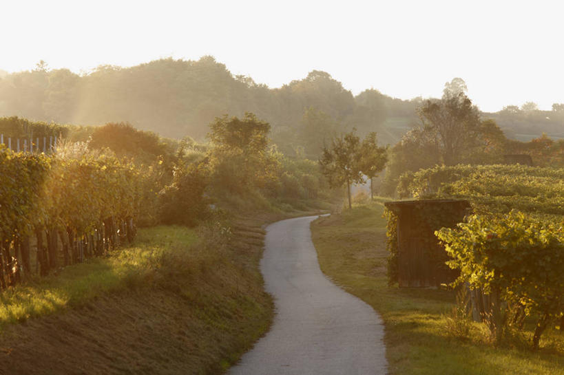 无人,横图,室外,白天,正面,旅游,度假,草地,草坪,美景,山,山脉,树林,植物,道路,路,公路,奥地利,欧洲,阴影,光线,影子,景观,山峰,交通,山峦,娱乐,草,树,树木,蓝色,绿色,蓝天,天空,阳光,自然,群山,天,享受,休闲,景色,放松,生长,晴朗,成长,自然风光,中欧,万里无云,奥地利共和国,下奥地利,下奥地利州,晴空,晴空万里,马路,彩图