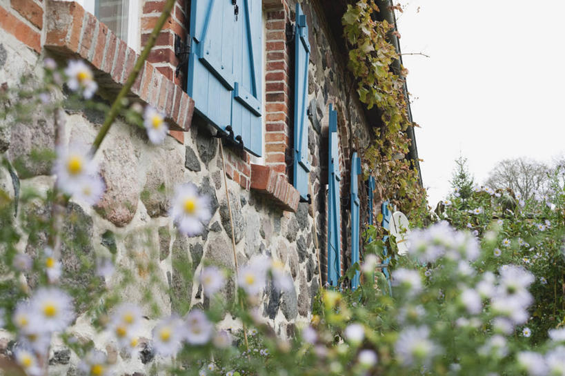 无人,家,横图,室外,白天,仰视,旅游,度假,美景,植物,别墅,德国,欧洲,朦胧,模糊,盛开,房屋,墙,屋子,景观,公寓,花蕾,娱乐,洋房,楼房,墙壁,墙面,住宅,花,花瓣,花朵,鲜花,树,树木,黄色,绿色,天空,自然,天,花苞,花蕊,享受,休闲,景色,放松,生长,成长,西欧,自然风光,德意志联邦共和国,梅克伦堡.前波美拉尼亚州,梅克伦堡.前波美拉尼亚,彩图,低角度拍摄,房子,克拉策堡