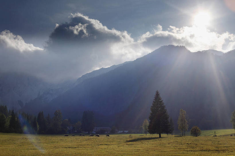 无人,横图,室外,白天,正面,旅游,度假,草地,草坪,石头,美景,山,山脉,植物,奥地利,欧洲,阴影,光线,石子,影子,景观,山峰,云,云朵,山峦,云彩,娱乐,草,树,树木,蓝色,绿色,白云,蓝天,天空,阳光,自然,群山,天,享受,休闲,景色,放松,生长,晴朗,成长,自然风光,中欧,奥地利共和国,克恩顿州,卡林西亚,克恩滕州,石块,岩石,晴空,彩图,镜头光晕,透镜闪耀,眩光