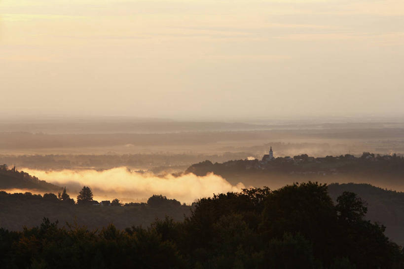 无人,横图,室外,白天,正面,旅游,度假,日出,美景,森林,山,山脉,树林,太阳,植物,雾,奥地利,欧洲,朦胧,模糊,地平线,景观,山峰,辽阔,地面,朝霞,晨曦,黎明,山峦,娱乐,树,树木,绿色,阳光,自然,群山,享受,休闲,广阔,景色,放松,生长,成长,一望无际,迷雾,自然风光,延伸,中欧,天地相交,奥地利共和国,无边无际,一马平川,施蒂利亚州,施泰尔马克州,朝阳,大雾,彩图,卯时,破晓,日始,弗劳恩贝格,穆尔河畔布鲁克县