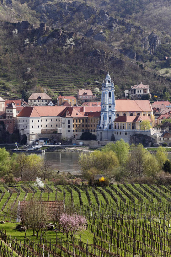无人,家,果园,竖图,室外,白天,正面,旅游,度假,美景,山,山脉,田园,奥地利,欧洲,一排,许多,阴影,整齐,光线,影子,房屋,屋子,景观,山峰,公寓,山峦,娱乐,洋房,楼房,葡萄园,架子,住宅,排列,阳光,自然,庄园,群山,享受,休闲,景色,放松,支撑,固定,队列,自然风光,葡萄架,中欧,奥地利共和国,下奥地利,下奥地利州,彩图,房子,多瑙河畔克雷姆斯,梅尔克,瓦豪,瓦豪河谷