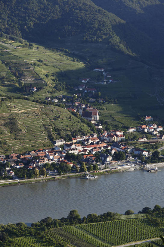 无人,家,果园,竖图,俯视,航拍,室外,白天,旅游,度假,河流,美景,森林,山,山脉,树林,水,田园,植物,奥地利,欧洲,一排,许多,阴影,整齐,光线,影子,房屋,屋子,河水,景观,山峰,水流,山峦,娱乐,楼房,葡萄园,架子,住宅,树,树木,排列,绿色,阳光,自然,庄园,群山,享受,休闲,景色,放松,生长,成长,支撑,固定,鸟瞰,队列,自然风光,葡萄架,中欧,多瑙河,奥地利共和国,下奥地利,下奥地利州,彩图,高角度拍摄,房子,多瑙河畔克雷姆斯,梅尔克,瓦豪,瓦豪河谷