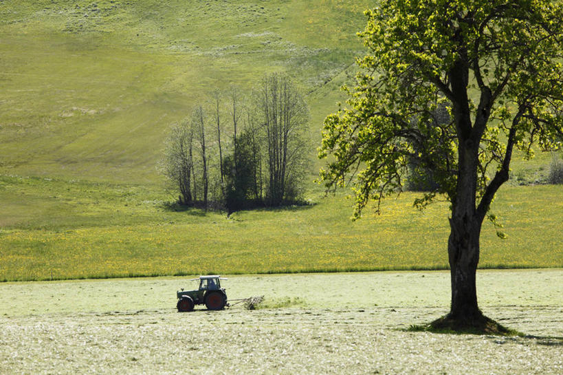 无人,横图,室外,白天,正面,旅游,度假,草地,草坪,美景,树林,植物,汽车,德国,欧洲,一辆,阴影,光线,影子,景观,娱乐,车,草,树,树木,绿色,阳光,自然,交通工具,轿车,享受,休闲,景色,放松,生长,成长,西欧,自然风光,载具,德意志联邦共和国,巴伐利亚,巴伐利亚州,拜恩州,拜恩自由州,施瓦本行政区,彩图,上阿尔高县,上斯陶芬