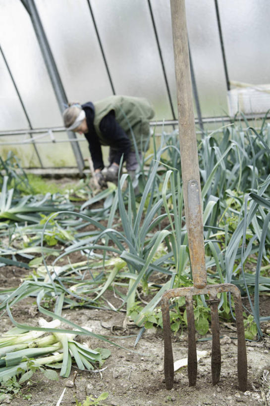 西方人,一个人,菜园,站,竖图,室内,白天,侧面,农作物,田园,蒜,欧洲,欧洲人,仅一个女性,仅一个人,弯腰,服装,暖棚,温室,注视,休闲装,衣服,低头,观察,看,站着,仅一个中年女性,休闲,休闲服,服饰,设施,观看,察看,暖房,蒜苗,防寒,关注,加温,透光,保温,农具,菜棚,田庄,弯身,蒜薹,蒜毫,蒜苔,耕具,女人,女性,中年女性,白种人,站立,彩图,全身