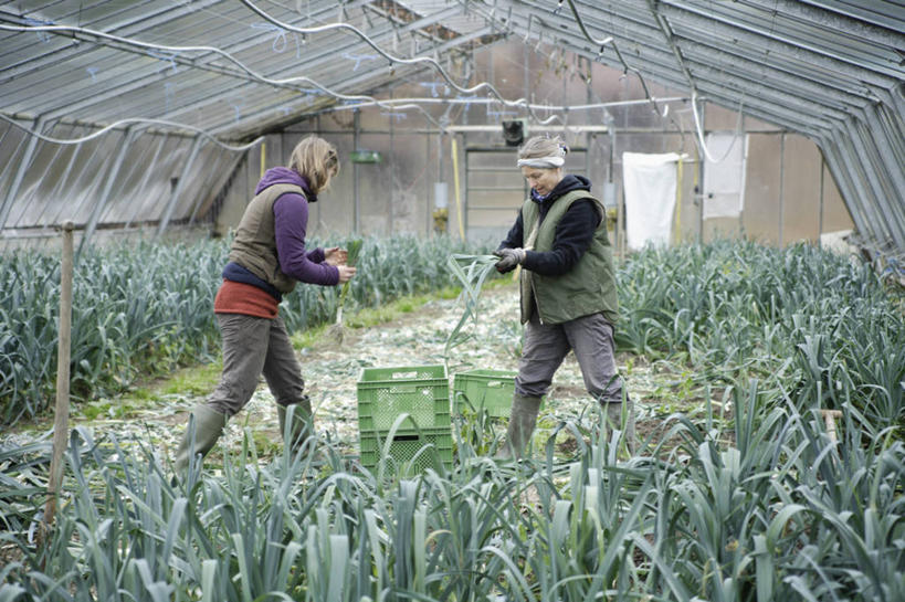 西方人,两个人,伙伴,朋友,菜园,站,走,笑,微笑,露齿笑,横图,室内,白天,侧面,友谊,农作物,田园,蔬菜,蒜,欧洲,欧洲人,一排,许多,握,新鲜,整齐,暖棚,塑料,食品,拿,温室,拿着,注视,食物,排列,容器,塑料制品,箱子,观察,看,站着,握着,有机食品,绿色食品,设施,观看,储藏,堆,察看,暖房,蒜苗,防寒,储存,队列,关注,加温,透光,保温,菜棚,田庄,蒜薹,蒜毫,蒜苔,友情,年轻女性,女人,女性,中年女性,白种人,步行,散步,站立,走路,彩图,全身,贮存