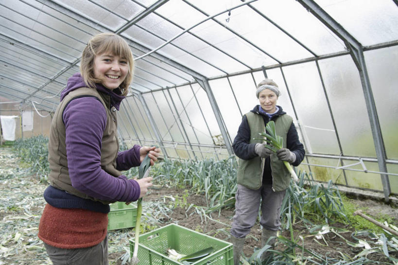 西方人,两个人,伙伴,朋友,菜园,站,笑,微笑,露齿笑,横图,室内,白天,正面,友谊,农作物,田园,蔬菜,蒜,欧洲,欧洲人,一排,许多,握,服装,新鲜,整齐,暖棚,塑料,食品,拿,温室,拿着,扭头,注视,休闲装,食物,排列,衣服,容器,塑料制品,箱子,观察,看,站着,转头,休闲,休闲服,握着,服饰,有机食品,绿色食品,设施,观看,储藏,堆,察看,暖房,蒜苗,防寒,储存,队列,关注,加温,透光,保温,菜棚,田庄,蒜薹,蒜毫,蒜苔,友情,年轻女性,女人,女性,中年女性,白种人,站立,半身,彩图,贮存