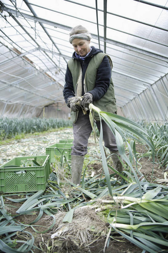 西方人,一个人,菜园,站,笑,微笑,竖图,室内,白天,正面,农作物,田园,蔬菜,蒜,鞋子,欧洲,欧洲人,仅一个女性,仅一个人,一堆,许多,握,堆积,服装,新鲜,暖棚,雨鞋,雨靴,塑料,食品,拿,温室,拿着,注视,休闲装,靴子,食物,衣服,容器,塑料制品,箱子,低头,观察,看,站着,仅一个中年女性,休闲,休闲服,握着,服饰,有机食品,绿色食品,设施,观看,储藏,堆,察看,暖房,蒜苗,防寒,储存,关注,加温,胶鞋,透光,保温,菜棚,田庄,蒜薹,蒜毫,蒜苔,女人,女性,中年女性,白种人,站立,彩图,全身,贮存