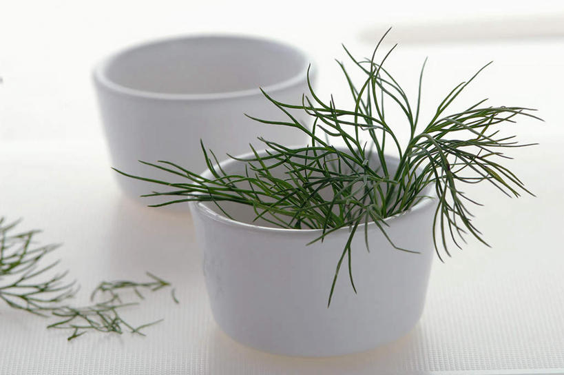 无人,横图,俯视,室内,特写,白天,白色背景,杯子,阴影,朦胧,模糊,反射,影子,陶瓷,陶瓷制品,两个,白色,水杯,摄影,影棚,莳萝,洋茴香,土茴香,茶杯,彩图,高角度拍摄,影棚拍摄,拍摄