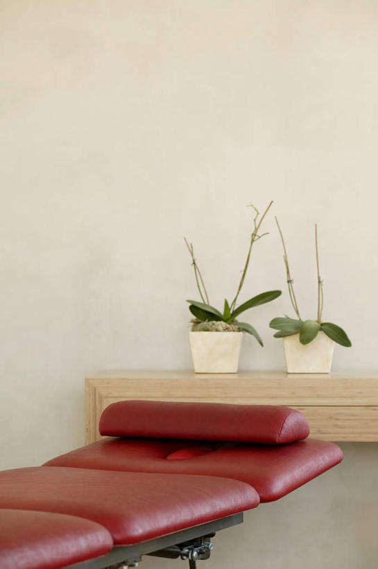 无人,竖图,室内,白天,正面,植物,叶子,纹路,木制,板凳,盆栽,纹理,凳子,墙,绿叶,盆景,皮革,墙壁,墙面,红色,绿色,自然,木制品,嫩叶,生长,成长,肌理,叶,叶片,彩图