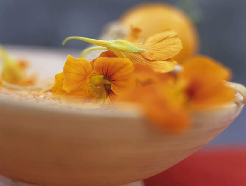 无人,横图,室内,特写,白天,正面,桌子,朦胧,模糊,盛开,花蕾,花,花瓣,花朵,鲜花,黄色,碗,花苞,花蕊,摄影,影棚,旱金莲,金莲花,寒金莲,旱荷,旱莲花,金钱莲,大红雀,彩图,影棚拍摄,拍摄