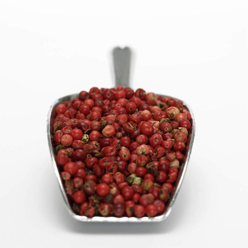 无人,横图,俯视,室内,特写,白天,白色背景,阴影,反射,影子,调料,调味,香料,佐料,调味品,调味料,铲,勺,红色,摄影,影棚,配料,作料,胡椒,彩图,高角度拍摄,影棚拍摄,拍摄