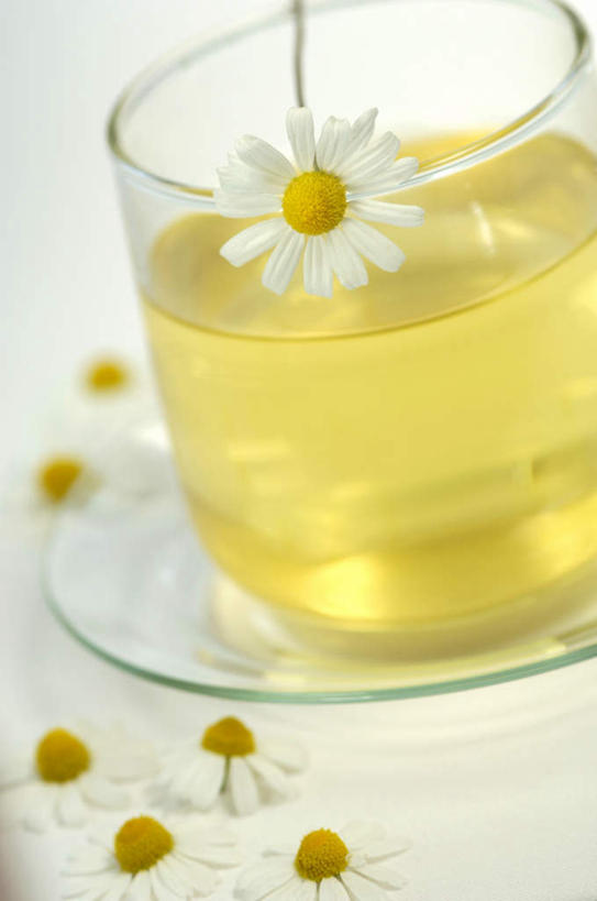 无人,竖图,俯视,室内,特写,白天,快乐,幸福,茶,杯子,餐具,玻璃,许多,阴影,灰色背景,朦胧,模糊,盛开,反射,碟子,盘,影子,茶叶,玛格丽特,饮品,一杯,花蕾,娱乐,玻璃制品,雏菊,花,花瓣,花朵,鲜花,盘子,水杯,碟,花茶,花苞,花蕊,享受,休闲,温馨,菊花,放松,活力,乐趣,保健,养生,摄影,影棚,希望,花草茶,舒适,坚强,和平,离别,延命菊,幸福花,春菊,马兰头花,香花茶,香片,熏花茶,暗恋,纯情,单恋,天真,茶杯,彩图,高角度拍摄,影棚拍摄,愉快,拍摄