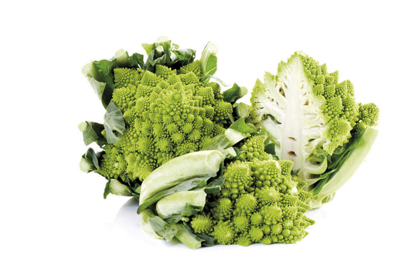 无人,横图,室内,特写,白天,白色背景,正面,蔬菜,切开,新鲜,花菜,花椰菜,西兰花,食品,食物,切,摄影,有机食品,绿色食品,影棚,椰菜花,剖面,切面,罗马花椰菜,青宝塔,甘蓝花,彩图,影棚拍摄,拍摄