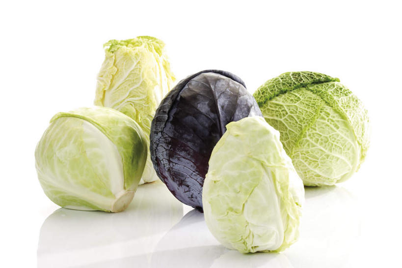 无人,横图,俯视,室内,特写,白天,白色背景,蔬菜,椰菜,卷心菜,新鲜,紫甘蓝,食品,紫包菜,食物,赤甘蓝,甘蓝,摄影,有机食品,绿色食品,影棚,紫椰菜,五颗,紫圆白菜,结球甘蓝,红甘蓝,甘兰,包心菜,彩图,高角度拍摄,影棚拍摄,拍摄