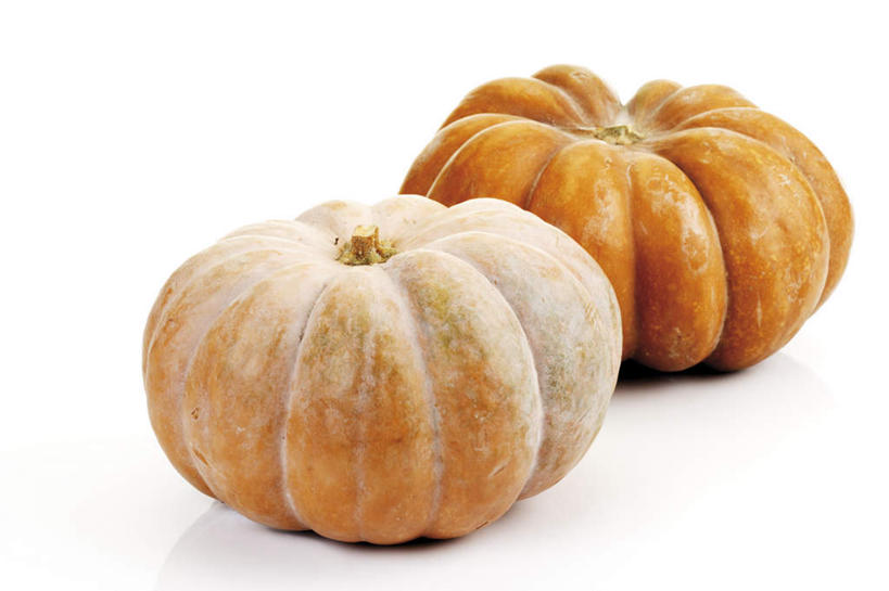 无人,横图,室内,特写,白天,白色背景,正面,南瓜,蔬菜,新鲜,金瓜,食品,番瓜,食物,两个,摄影,有机食品,绿色食品,影棚,麦瓜,倭瓜,彩图,影棚拍摄,拍摄