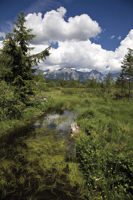 无人,竖图,室外,白天,正面,旅游,度假,草地,草坪,石头,美景,山,山脉,植物,奥地利,欧洲,阴影,光线,石子,影子,景观,山顶,山峰,云,云朵,山峦,云彩,娱乐,草,树,树木,蓝色,绿色,白云,蓝天,天空,阳光,自然,群山,天,享受,休闲,景色,放松,生长,晴朗,成长,自然风光,中欧,沉积岩,奥地利共和国,蒂罗尔,蒂罗尔州,颠峰,极峰,水成岩,石块,岩石,晴空,彩图