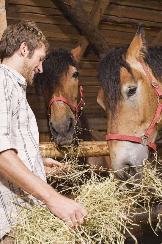 西方人,一个人,农民,栏杆,站,吃,竖图,室外,白天,侧面,植物,野生动物,欧洲,欧洲人,仅一个男性,仅一个人,握,服装,围栏,拿,拿着,注视,休闲装,护栏,草,树,树木,仅一个年轻男性,衣服,绿色,自然,动物,观察,看,站着,休闲,休闲服,可爱,喂,握着,服饰,活泼,生长,成长,观看,栏,察看,关注,男人,男性,年轻男性,白种人,佃农,农场主,农夫,农工,乡下人,小农,庄稼人,嚼,食,站立,半身,彩图