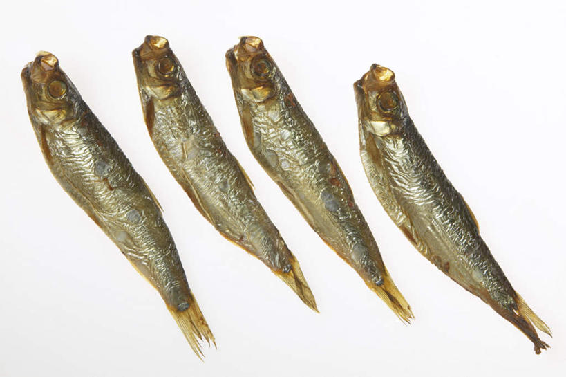 无人,横图,室内,特写,白天,白色背景,正面,一排,整齐,鱼,肉,鱼肉,肉类,排列,四个,摄影,影棚,六线鱼,队列,黄鱼,肉食,海黄鱼,黄花鱼,彩图,影棚拍摄,拍摄