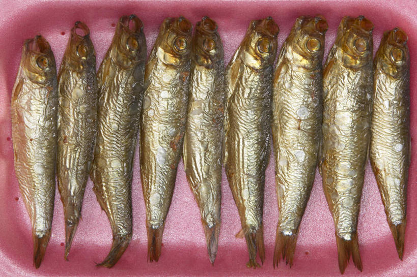 海鲜,无人,横图,俯视,室外,特写,白天,餐具,一排,许多,阴影,整齐,反射,碟子,盘,影子,水产,海洋生物,排列,一个,粉色,盘子,碟,单个,六线鱼,队列,水生动物,黄鱼,海产品,水生物,海底动物,海黄鱼,黄花鱼,彩图,高角度拍摄