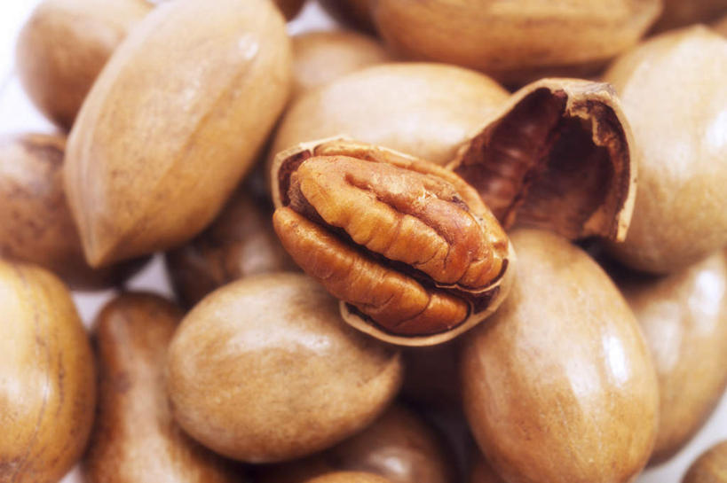 无人,横图,俯视,室内,特写,白天,白色背景,一堆,许多,阴影,堆叠,堆积,朦胧,模糊,反射,影子,核桃,坚果,果实,干果,摄影,影棚,堆,小核桃,山核桃,胡桃,羌桃,彩图,高角度拍摄,影棚拍摄,拍摄