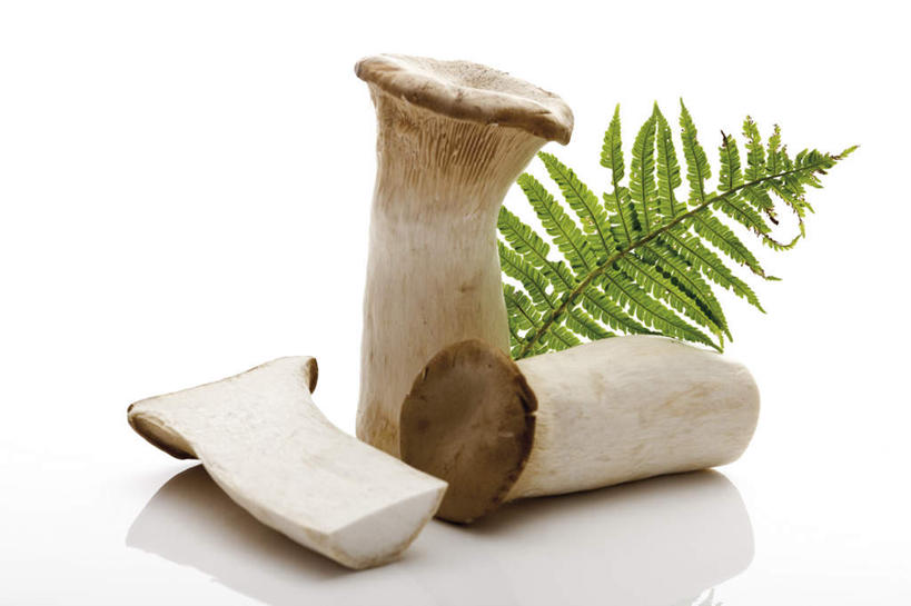 无人,横图,俯视,室内,特写,白天,白色背景,餐桌,桌子,蔬菜,叶子,切开,阴影,新鲜,反射,影子,菌菇,蘑菇,食品,绿叶,菌类,食物,切,嫩叶,食用菌,摄影,有机食品,绿色食品,影棚,餐台,剖面,切面,杏鲍菇,刺芹侧耳,叶,叶片,彩图,高角度拍摄,影棚拍摄,拍摄