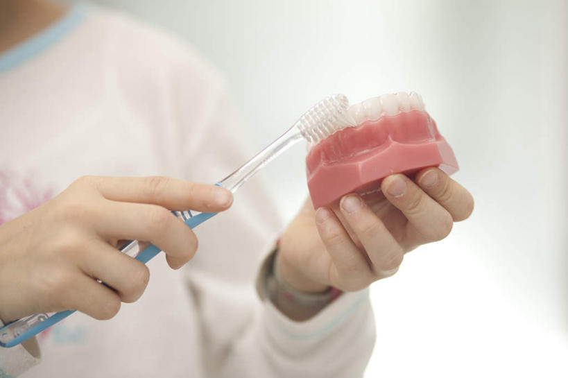 西方人,手,一个人,医生,医院,站,横图,室内,特写,白天,正面,工作服,制服,欧洲,欧洲人,双手,仅一个年轻女性,仅一个女性,仅一个人,握,服装,朦胧,模糊,牙刷,拿,拿着,衣服,日用品,看,清洁,站着,医护人员,医疗人员,手部,握着,服饰,洗漱用品,卫生,衣着,穿着,假牙,医疗机构,工作制服,衣饰,活动假牙,义齿,年轻女性,女人,女性,白种人,大夫,站立,半身,彩图,工作套服,病院,诊所