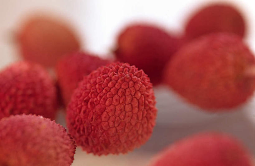 无人,横图,室内,特写,白天,正面,荔枝,水果,许多,阴影,朦胧,模糊,新鲜,散落,反射,影子,生食,食品,果实,食物,红色,有机食品,绿色食品,离枝,彩图