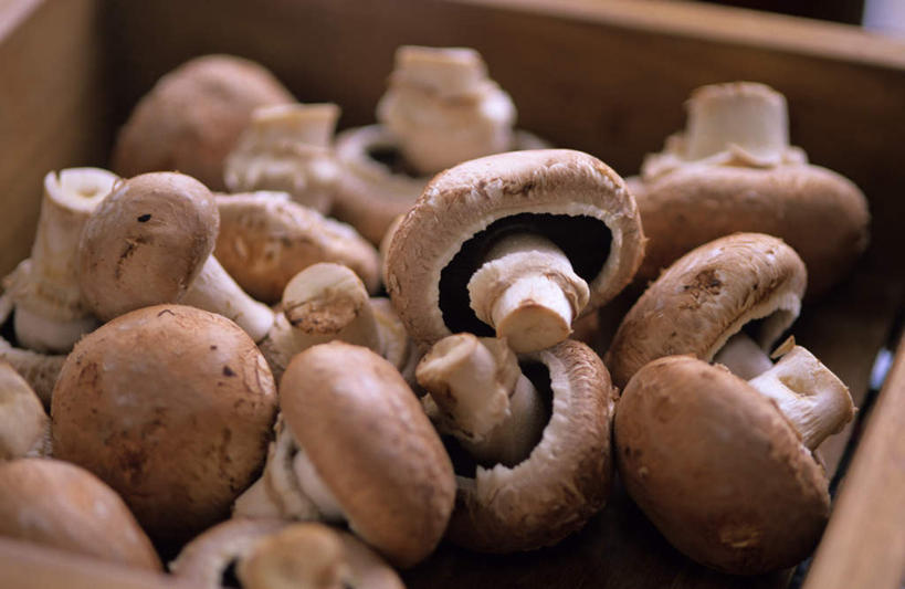 无人,横图,俯视,室内,特写,白天,一堆,许多,阴影,堆叠,堆积,朦胧,模糊,反射,影子,纸盒,菌菇,蘑菇,菌类,盒子,包装盒,食用菌,堆,彩图,高角度拍摄