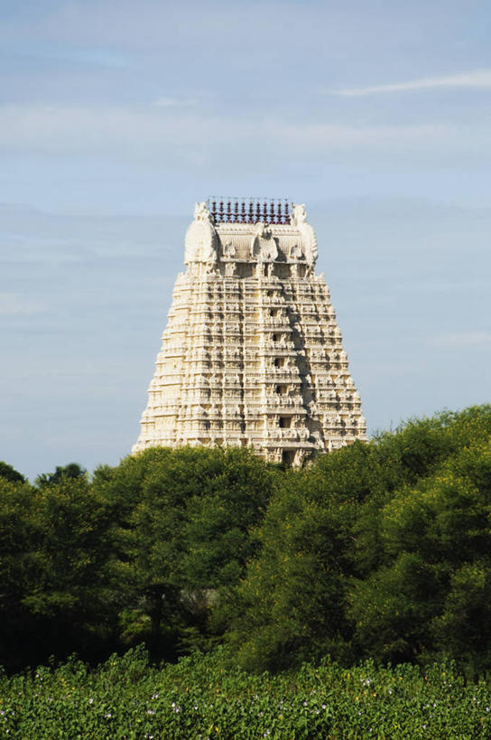 无人,寺庙,竖图,室外,白天,仰视,旅游,度假,草地,草坪,植物,标志建筑,地标,建筑,印度,亚洲,阴影,节日,光线,影子,云,云朵,燃烧,云彩,文化,娱乐,建设,草,树,树木,蓝色,绿色,白云,蓝天,天空,阳光,自然,香火,庙宇,天,祈祷,享受,休闲,健康,旅游胜地,放松,许愿,宗教,信仰,生长,晴朗,成长,纪念,祈求,南亚,印度共和国,安得拉,安得拉邦,平安,晴空,彩图,低角度拍摄,庙,寺,蒂鲁帕蒂