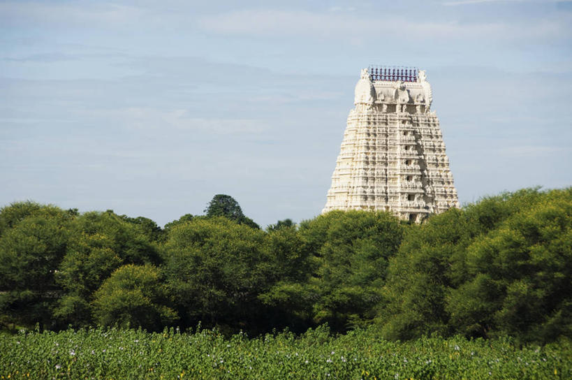 无人,寺庙,横图,室外,白天,仰视,旅游,度假,草地,草坪,植物,标志建筑,地标,建筑,印度,亚洲,阴影,节日,光线,影子,云,云朵,燃烧,云彩,文化,娱乐,建设,草,树,树木,蓝色,绿色,白云,蓝天,天空,阳光,自然,香火,庙宇,天,祈祷,享受,休闲,健康,旅游胜地,放松,许愿,宗教,信仰,生长,晴朗,成长,纪念,祈求,南亚,印度共和国,安得拉,安得拉邦,平安,晴空,彩图,低角度拍摄,庙,寺,蒂鲁帕蒂