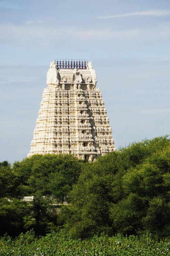 无人,寺庙,竖图,室外,白天,仰视,旅游,度假,草地,草坪,植物,标志建筑,地标,建筑,印度,亚洲,阴影,节日,光线,影子,云,云朵,燃烧,云彩,文化,娱乐,建设,草,树,树木,蓝色,绿色,白云,蓝天,天空,阳光,自然,香火,庙宇,天,祈祷,享受,休闲,健康,旅游胜地,放松,许愿,宗教,信仰,生长,晴朗,成长,纪念,祈求,南亚,印度共和国,安得拉,安得拉邦,平安,晴空,彩图,低角度拍摄,庙,寺,蒂鲁帕蒂