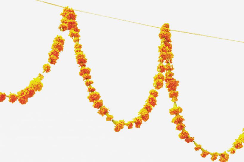 无人,横图,室外,特写,白天,仰视,一排,许多,整齐,盛开,万寿菊,花蕾,花,花瓣,花朵,鲜花,排列,天空,绳子,天,花苞,花蕊,健康,队列,长寿,臭芙蓉,蜂窝菊,友情,彩图,低角度拍摄