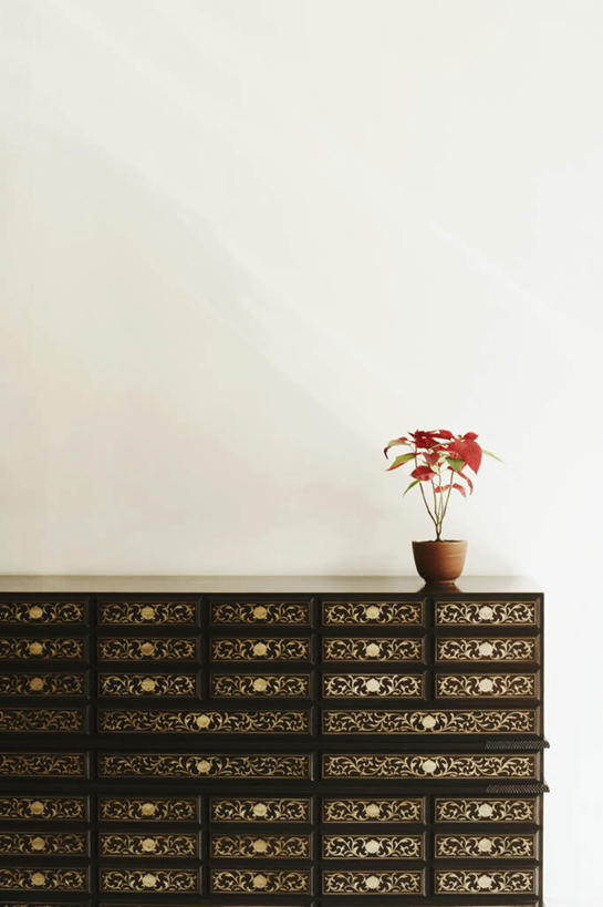 无人,竖图,室内,白天,正面,植物,柜子,家具,叶子,盛开,盆栽,墙,盆景,储物柜,花蕾,墙壁,墙面,花,花瓣,花朵,鲜花,绿色,白色,自然,工艺品,橱柜,花束,花苞,花蕊,生长,成长,镀金,储存,储备,蕴藏,贮备,彩图,贮存