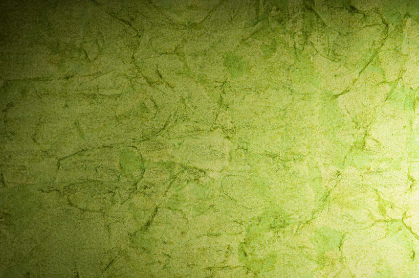 无人,横图,室内,特写,白天,正面,静物,阴影,新鲜,反射,纹路,图案,纹理,影子,绿色,青春,生命,和平,安详,肌理,冷色,彩图