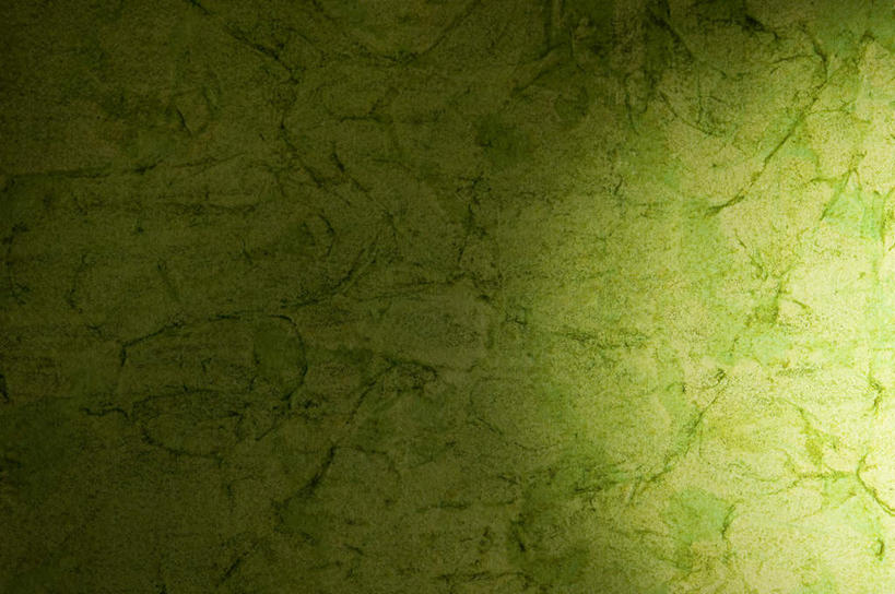 无人,横图,室内,特写,白天,正面,静物,阴影,新鲜,反射,纹路,图案,纹理,影子,绿色,青春,生命,和平,安详,肌理,冷色,彩图