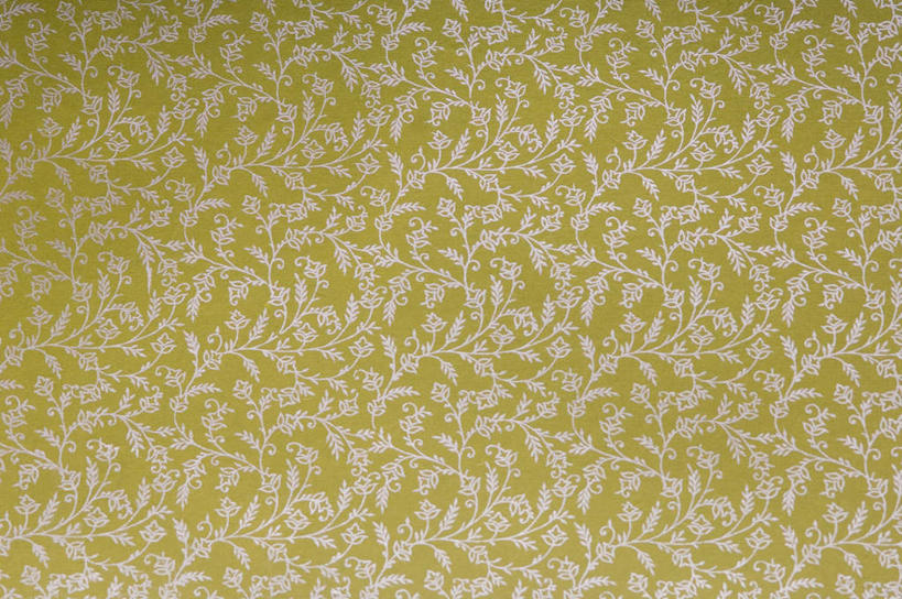 无人,横图,室内,特写,白天,正面,静物,阴影,花纹,反射,纹路,图案,纹理,影子,绿色,肌理,彩图