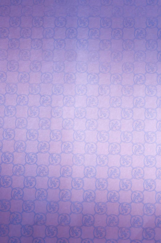 无人,竖图,室内,特写,白天,正面,神秘,静物,阴影,花纹,反射,纹路,图案,纹理,影子,紫色,优美,庄重,高贵,消极,肌理,冷色,孤寂,彩图,奢华